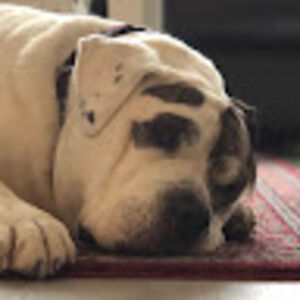 Meet your Posher, Robyn